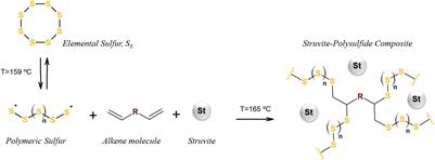 Co-fertilization of Sulfur and Struvite-Phosphorus in a Slow-Release Fertilizer Improves Soybean Cultivation